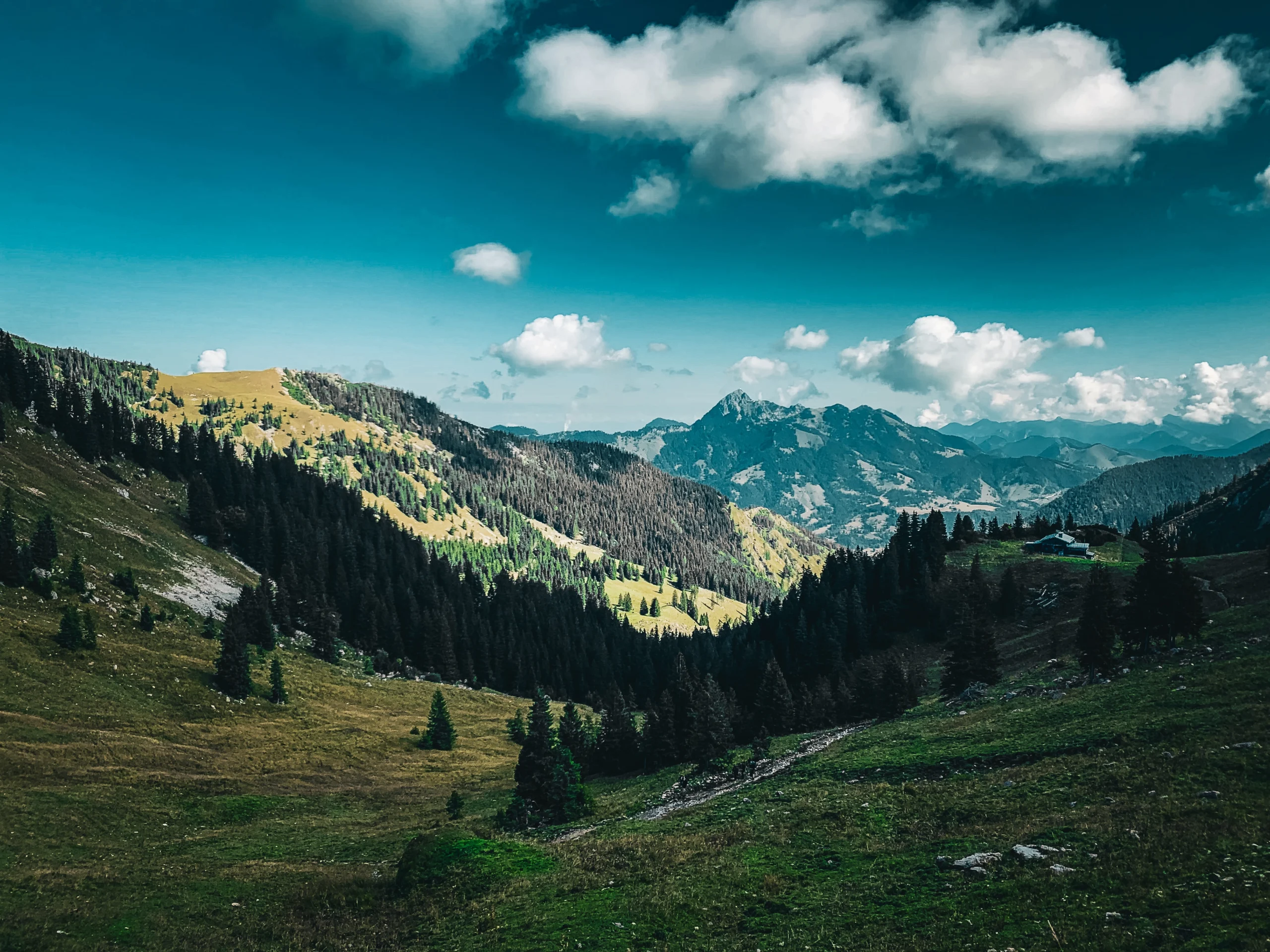 2025-berge_1