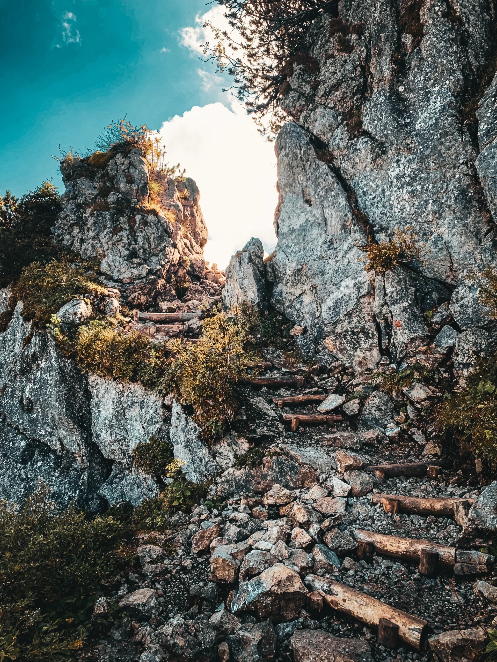 2025-mountain_stairs
