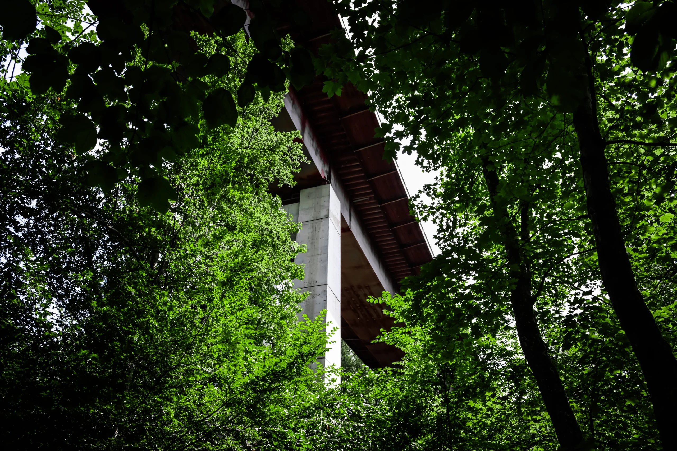 2025-nature_bridge